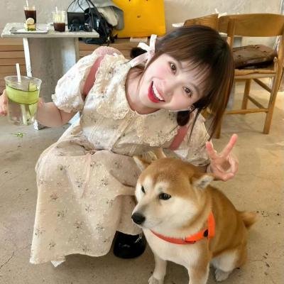 特警神龙