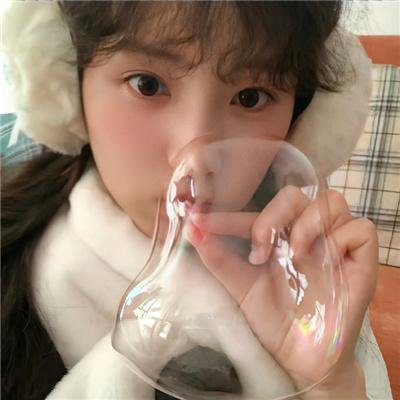 狐狸女士第二季